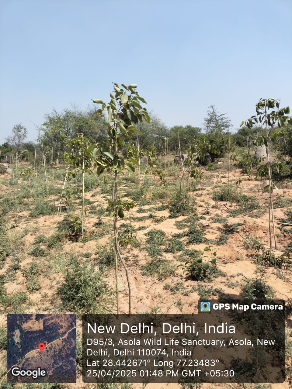 Assisted Natural Regeneration Artificial Regeneration